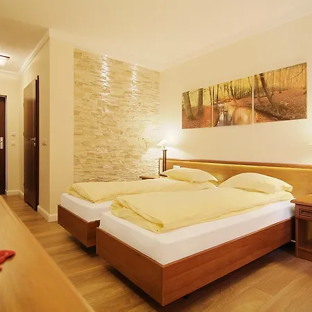 Dolina Leśnicy Ski&spa * Brenna