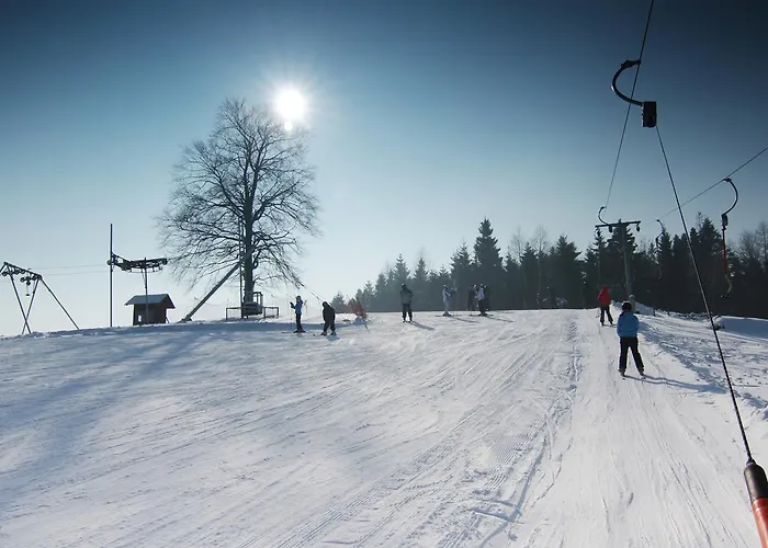 リゾート Dolina Lesnicy & *