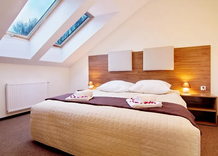 リゾート Dolina Lesnicy & *